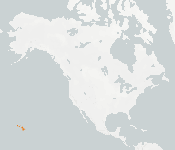 distribution map thumnbnail for Hawaiian Hoary Bat (Lasiurus cinereus semotus)