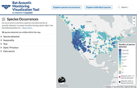 Bat Acoustic Monitoring Visualization Tool