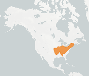distribution map thumnbnail for Indiana Bat (Myotis sodalis)