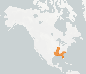 distribution map thumnbnail for Southeastern Myotis (Myotis austroriparius)