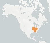 distribution map thumnbnail for Gray Bat (Myotis grisescens)
